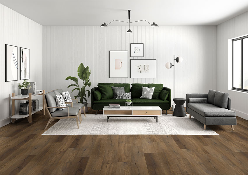 cream pattern area rug in living room with vinyl plank flooring